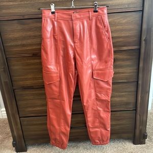 Beautiful faux lather pants
